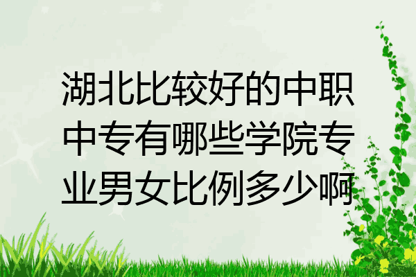 湖北比较好的中职中专有哪些学院专业男女比例多少啊