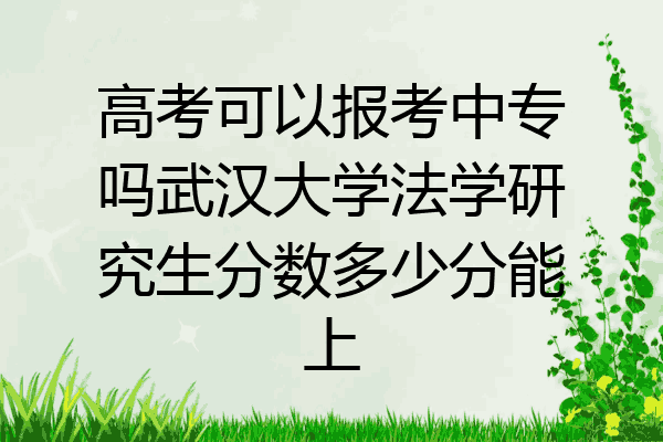 高考可以报考中专吗武汉大学法学研究生分数多少分能上