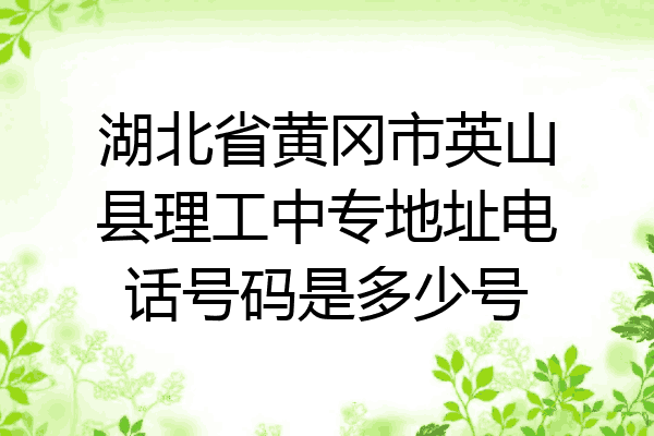 湖北省黄冈市英山县理工中专地址电话号码是多少号