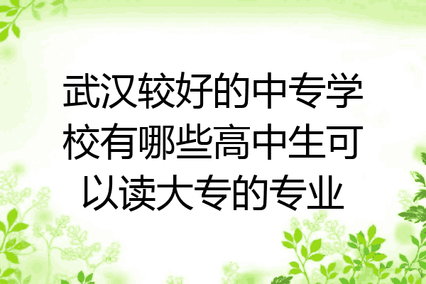 武汉较好的中专学校有哪些高中生可以读大专的专业