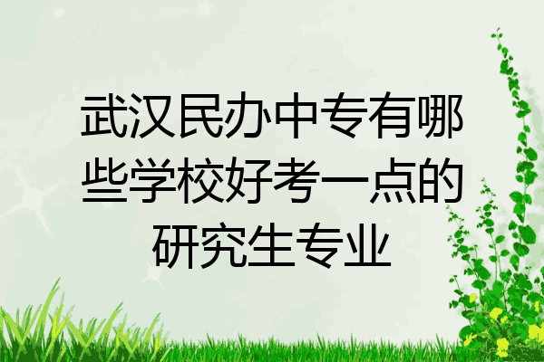 武汉民办中专有哪些学校好考一点的研究生专业