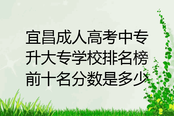 宜昌成人高考中专升大专学校排名榜前十名分数是多少