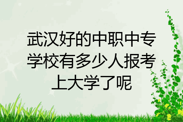 武汉好的中职中专学校有多少人报考上大学了呢