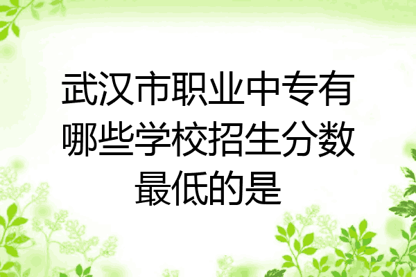 武汉市职业中专有哪些学校招生分数最低的是