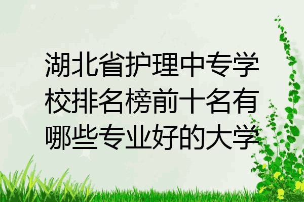 湖北省护理中专学校排名榜前十名有哪些专业好的大学