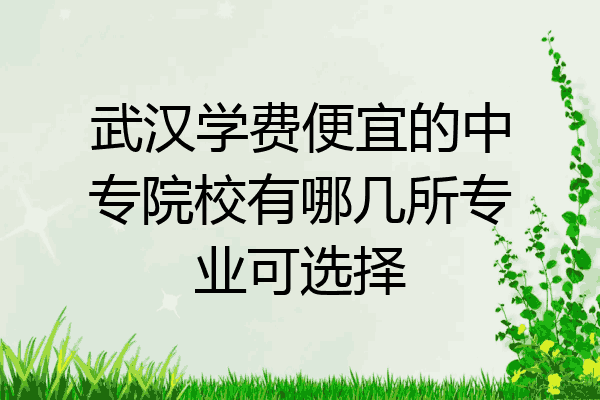 武汉学费便宜的中专院校有哪几所专业可选择