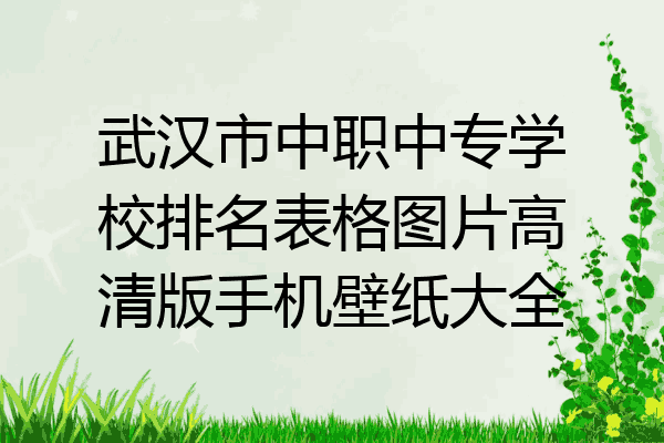 武汉市中职中专学校排名表格图片高清版手机壁纸大全
