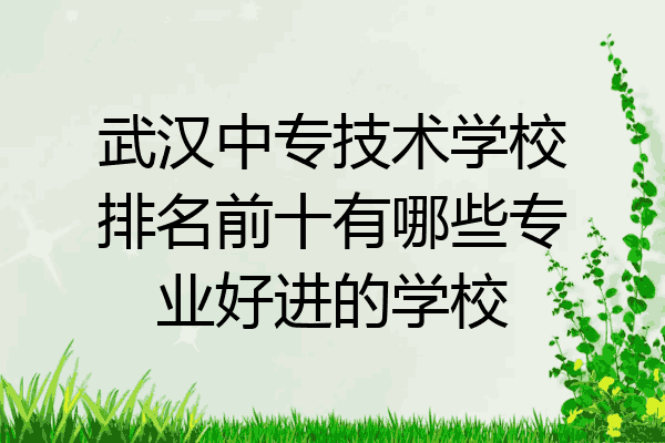 武汉中专技术学校排名前十有哪些专业好进的学校