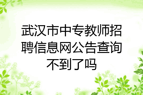 武汉市中专教师招聘信息网公告查询不到了吗