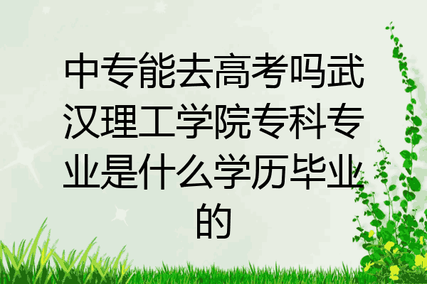 中专能去高考吗武汉理工学院专科专业是什么学历毕业的