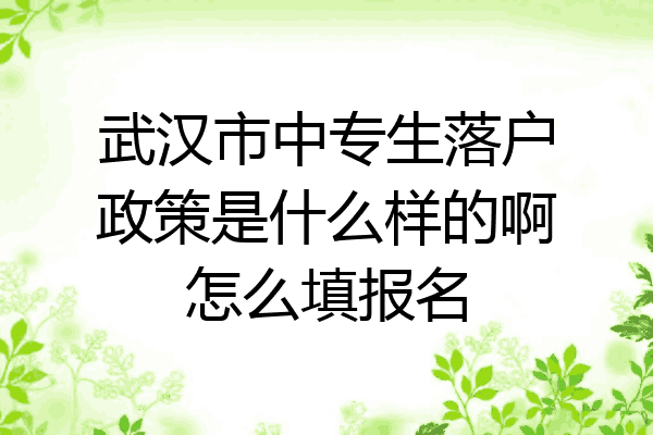 武汉市中专生落户政策是什么样的啊怎么填报名