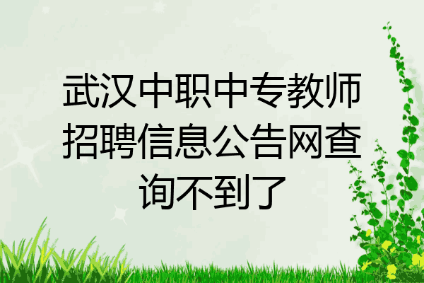 武汉中职中专教师招聘信息公告网查询不到了