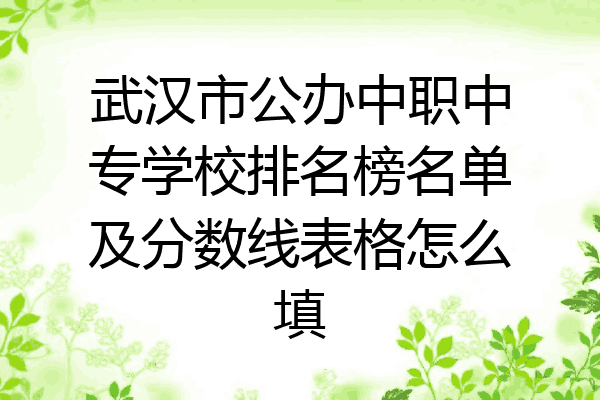 武汉市公办中职中专学校排名榜名单及分数线表格怎么填