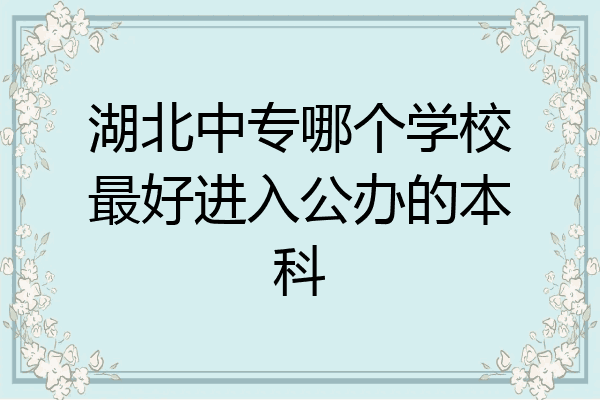 湖北中专哪个学校最好进入公办的本科