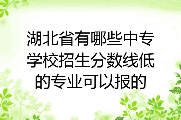 湖北省有哪些中专学校招生分数线低的专业可以报的