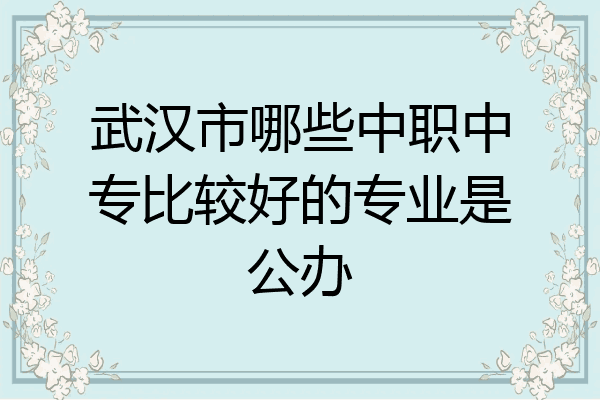 武汉市哪些中职中专比较好的专业是公办