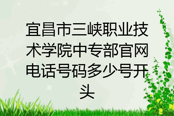 宜昌市三峡职业技术学院中专部官网电话号码多少号开头