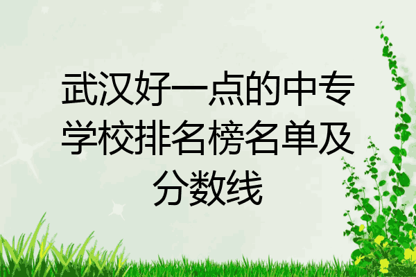 武汉好一点的中专学校排名榜名单及分数线