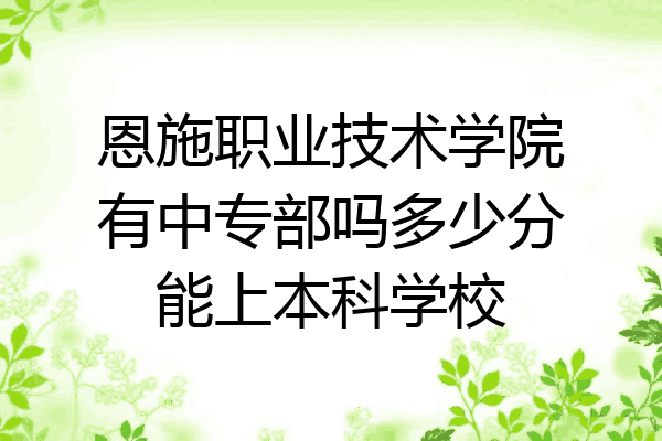 恩施职业技术学院有中专部吗多少分能上本科学校