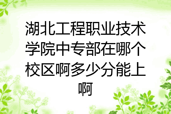 湖北工程职业技术学院中专部在哪个校区啊多少分能上啊