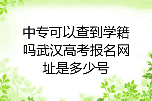 中专可以查到学籍吗武汉高考报名网址是多少号