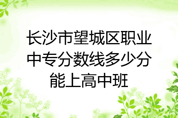 长沙市望城区职业中专分数线多少分能上高中班
