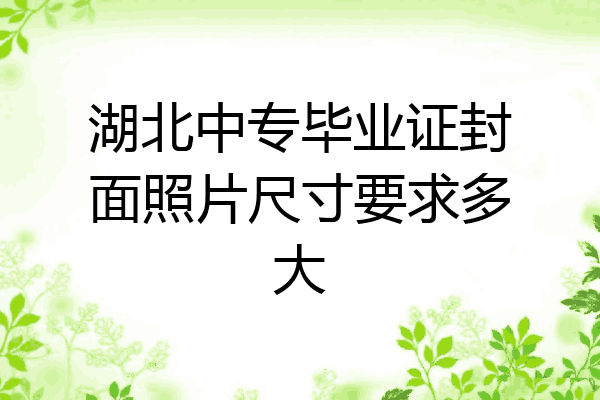 湖北中专毕业证封面照片尺寸要求多大