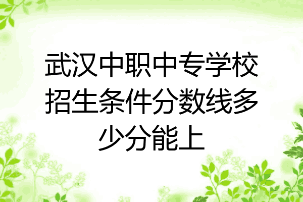武汉中职中专学校招生条件分数线多少分能上