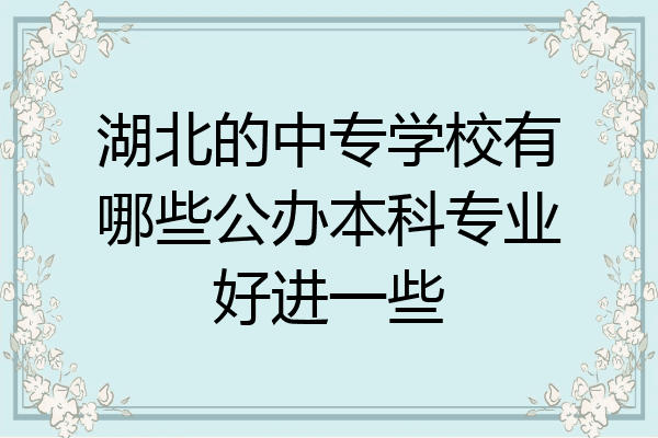 湖北的中专学校有哪些公办本科专业好进一些