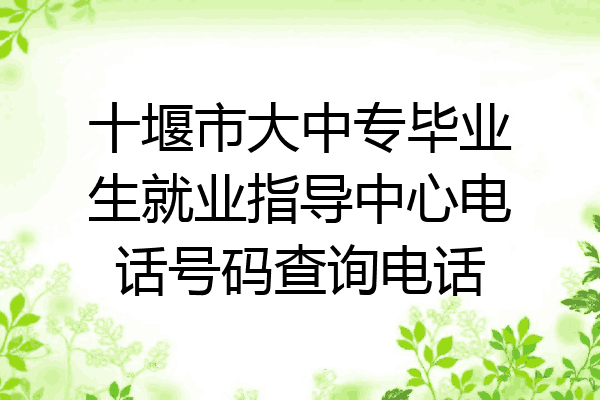 十堰市大中专毕业生就业指导中心电话号码查询电话