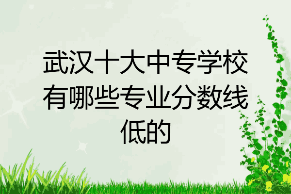 武汉十大中专学校有哪些专业分数线低的