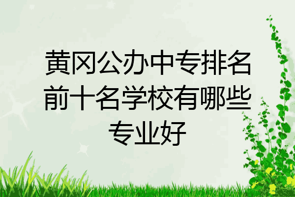 黄冈公办中专排名前十名学校有哪些专业好