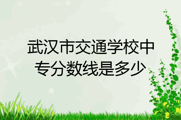 武汉市交通学校中专分数线是多少