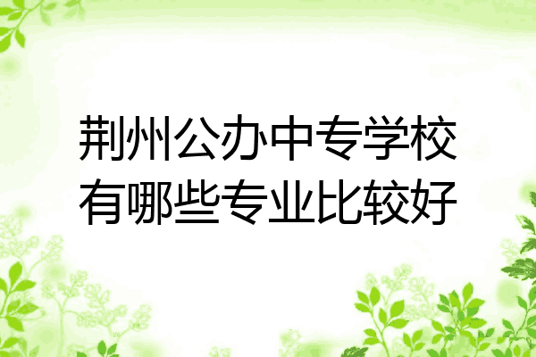荆州公办中专学校有哪些专业比较好