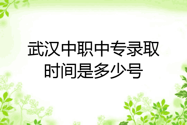 武汉中职中专录取时间是多少号