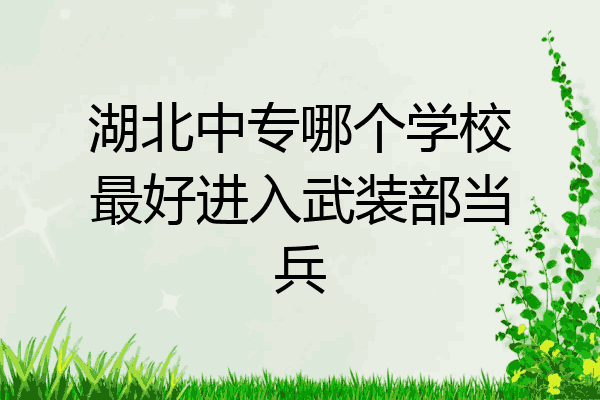 湖北中专哪个学校最好进入武装部当兵