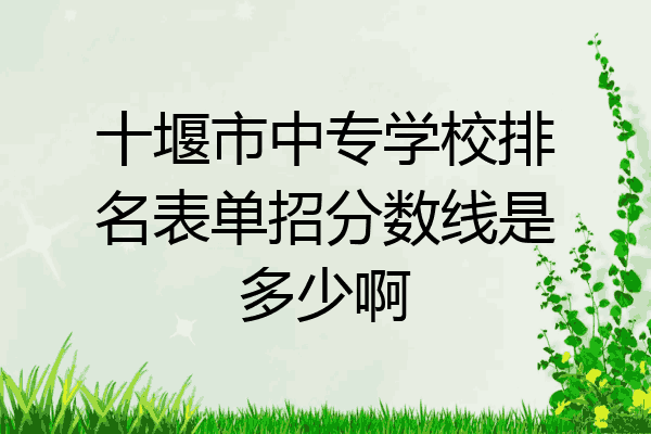 十堰市中专学校排名表单招分数线是多少啊
