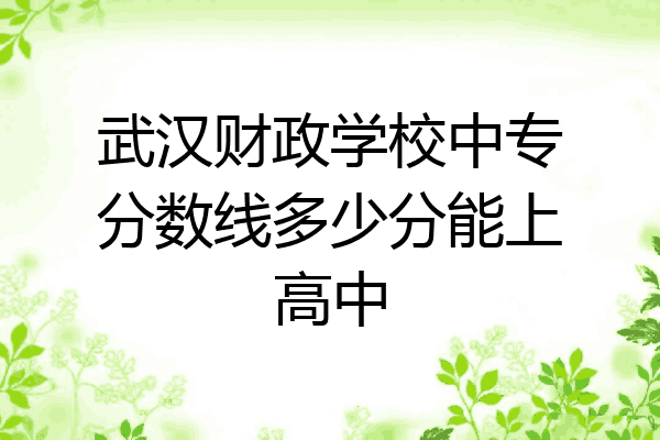 武汉财政学校中专分数线多少分能上高中