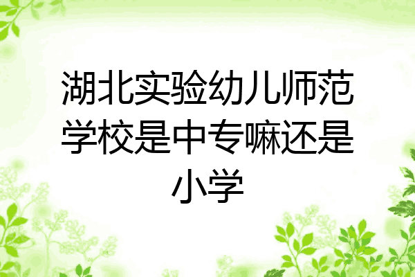 湖北实验幼儿师范学校是中专嘛还是小学