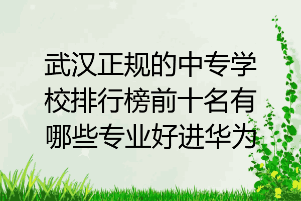 武汉正规的中专学校排行榜前十名有哪些专业好进华为