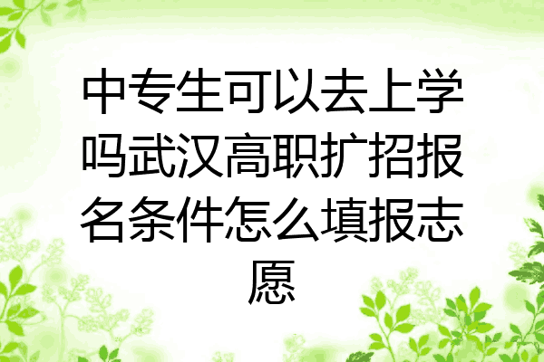 中专生可以去上学吗武汉高职扩招报名条件怎么填报志愿