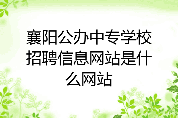 襄阳公办中专学校招聘信息网站是什么网站