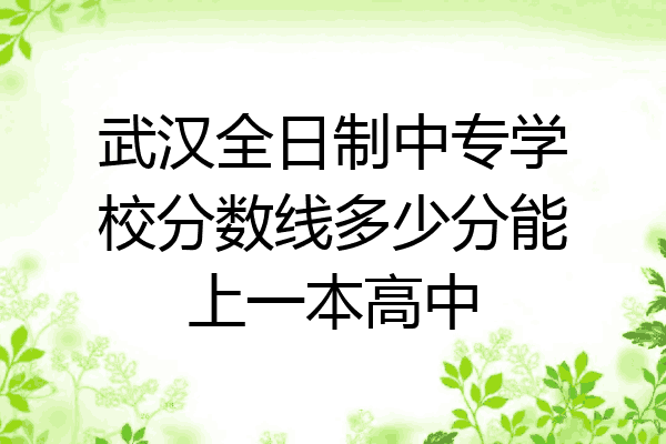 武汉全日制中专学校分数线多少分能上一本高中
