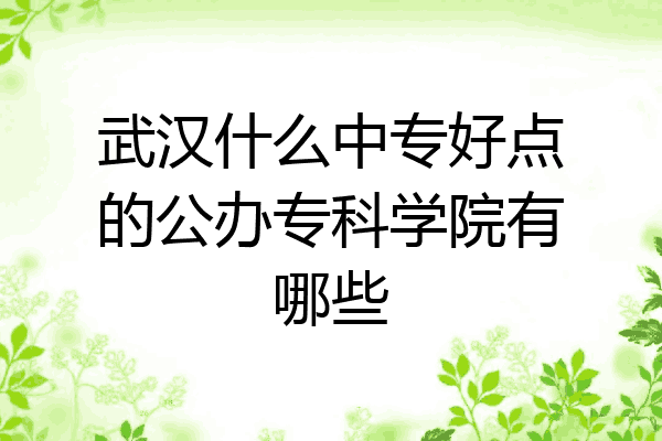 武汉什么中专好点的公办专科学院有哪些