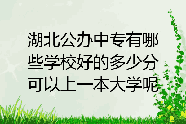 湖北公办中专有哪些学校好的多少分可以上一本大学呢