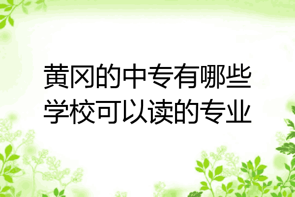 黄冈的中专有哪些学校可以读的专业