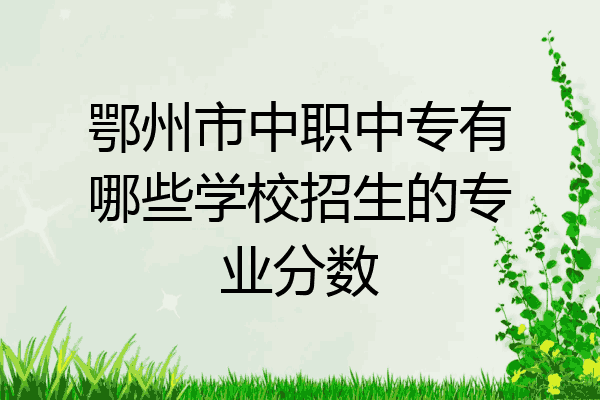 鄂州市中职中专有哪些学校招生的专业分数