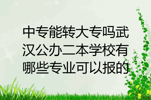 中专能转大专吗武汉公办二本学校有哪些专业可以报的