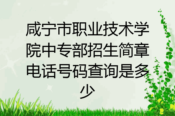 咸宁市职业技术学院中专部招生简章电话号码查询是多少