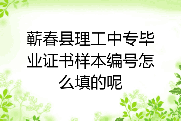 蕲春县理工中专毕业证书样本编号怎么填的呢